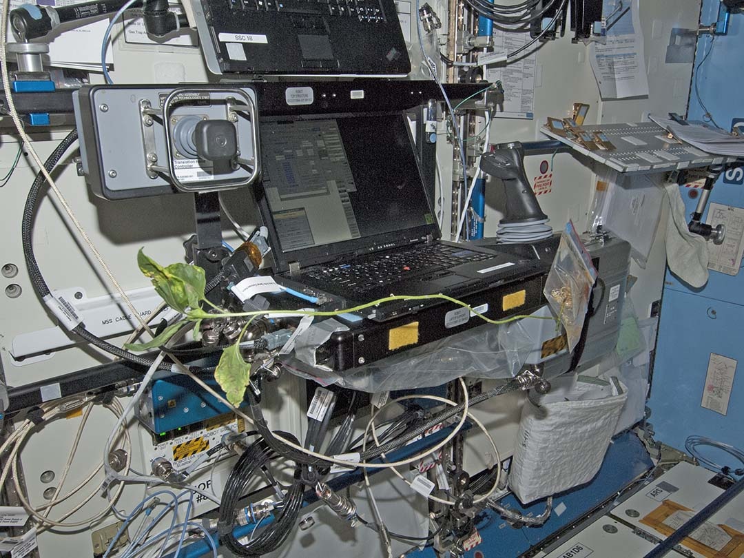 A robotics workstation for practice; this laptop computer has a full set of robotic hand controllers for translation and rotation where we can simulate snagging the Dragon as it comes close to Space Station.  The translation hand controller moves the arm in three straight-line directions (X-Y-Z) simultaneous with the rotational hand controller moving the arm in three angular directions (yaw-pitch-roll).  Sunflower is there to help Gardner hone his dragon catching skills.